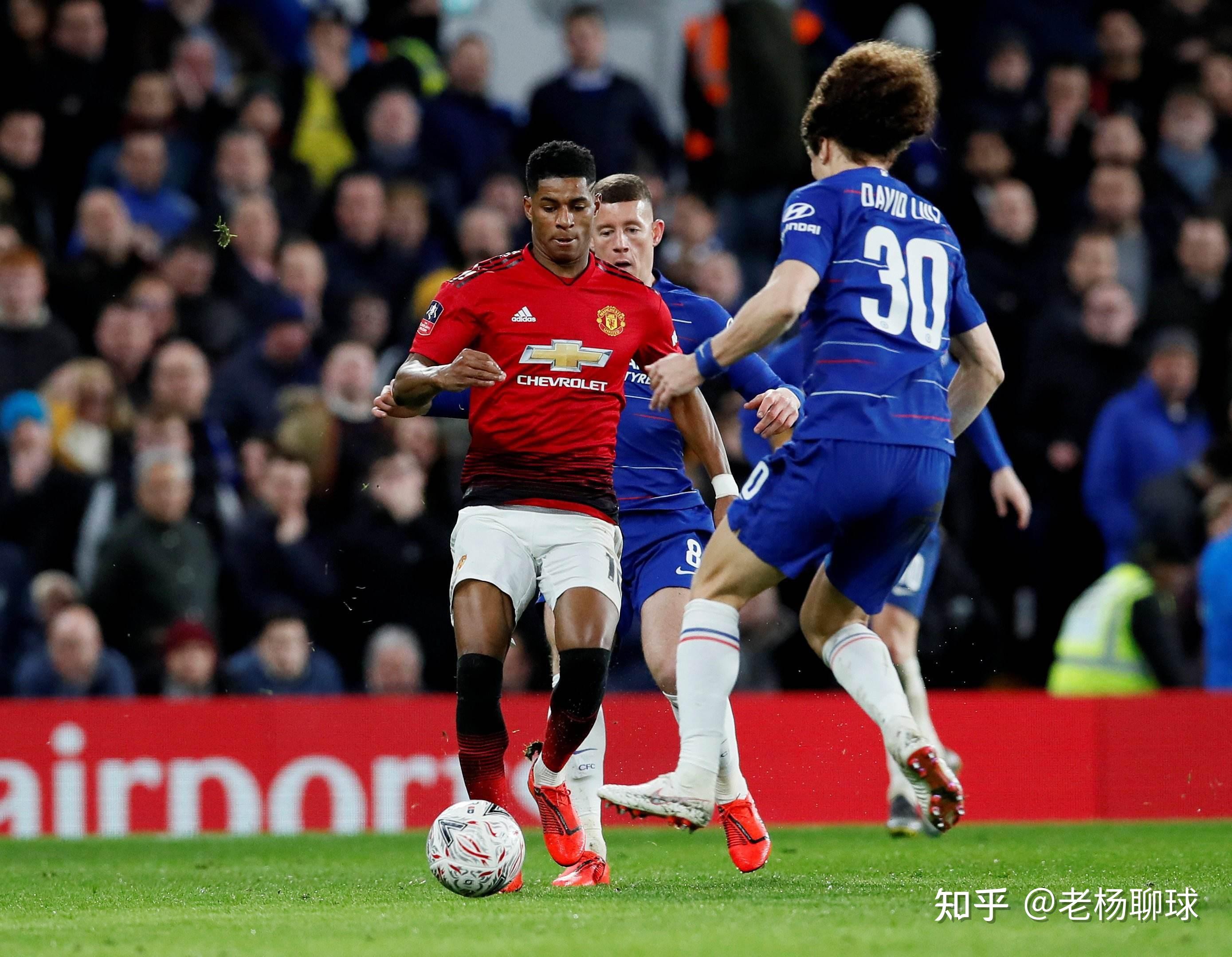 拥有极强的 拥有极强的