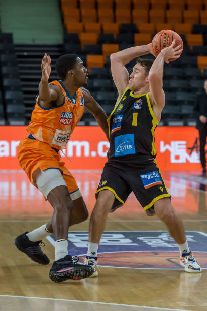 巡的互动 巡的互动